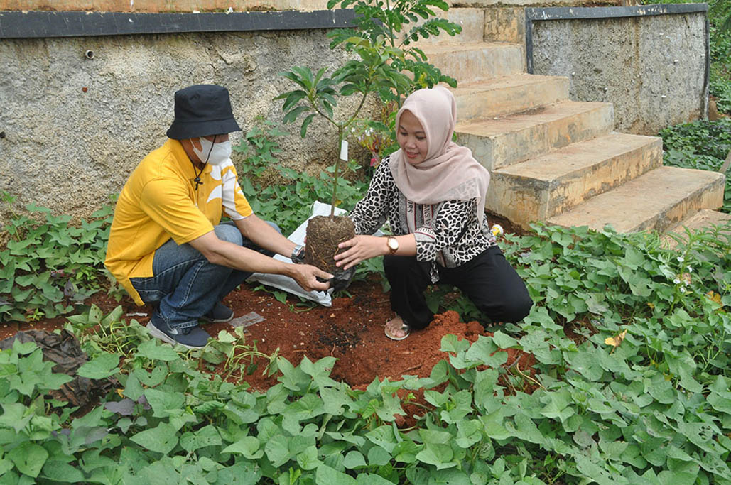 55 Pohon Buah untuk Huntap Cigudeg